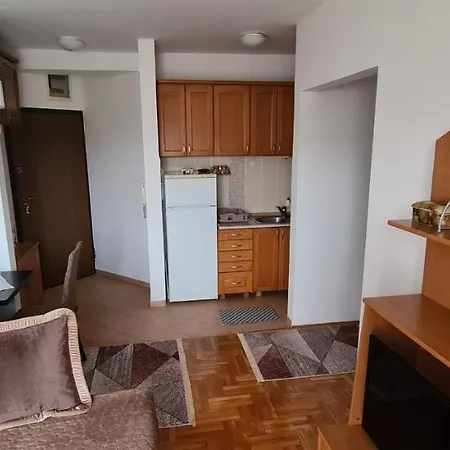 아파트 Velimir Stari Aerodrom 포드고리차