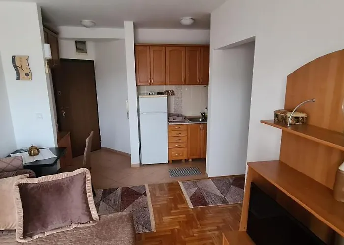 Apartman Velimir Stari Aerodrom Podgorica